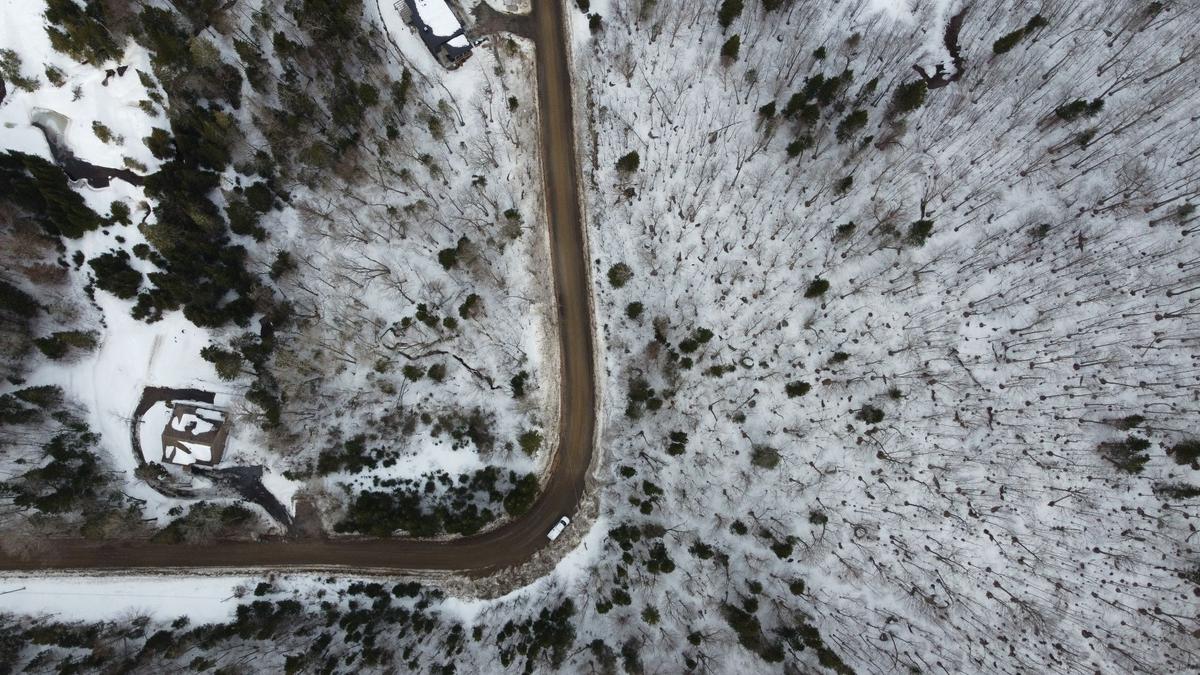 Terre/Terrain