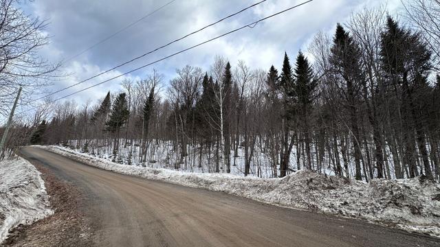 Terre/Terrain