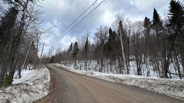 Terre/Terrain