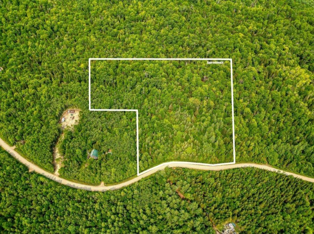 Terre/Terrain