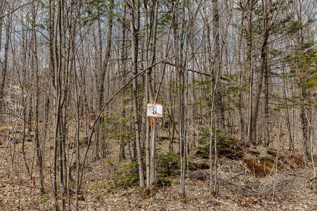 Land/Lot