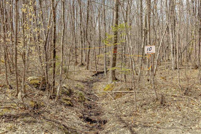 Land/Lot