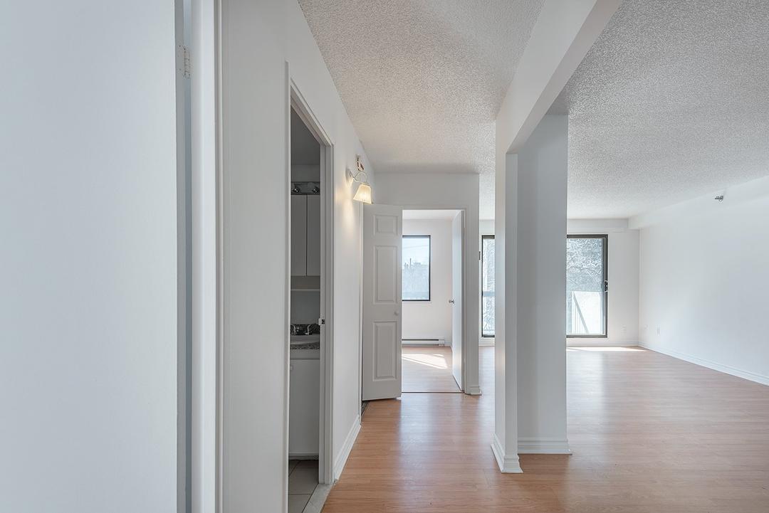 Hall d'entrée/Vestibule