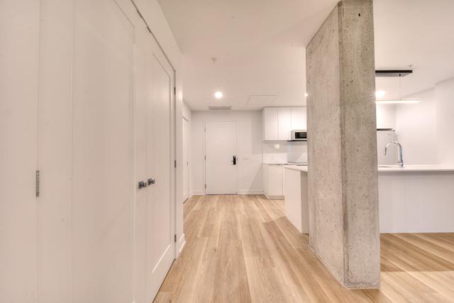 Hall d'entrée/Vestibule