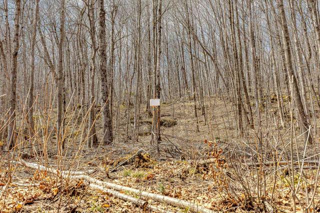 Land/Lot