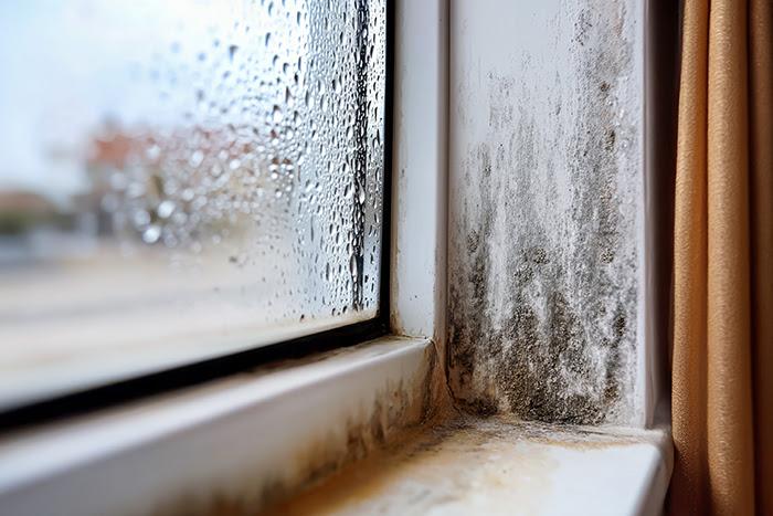 Comment repérer et éviter les vices cachés